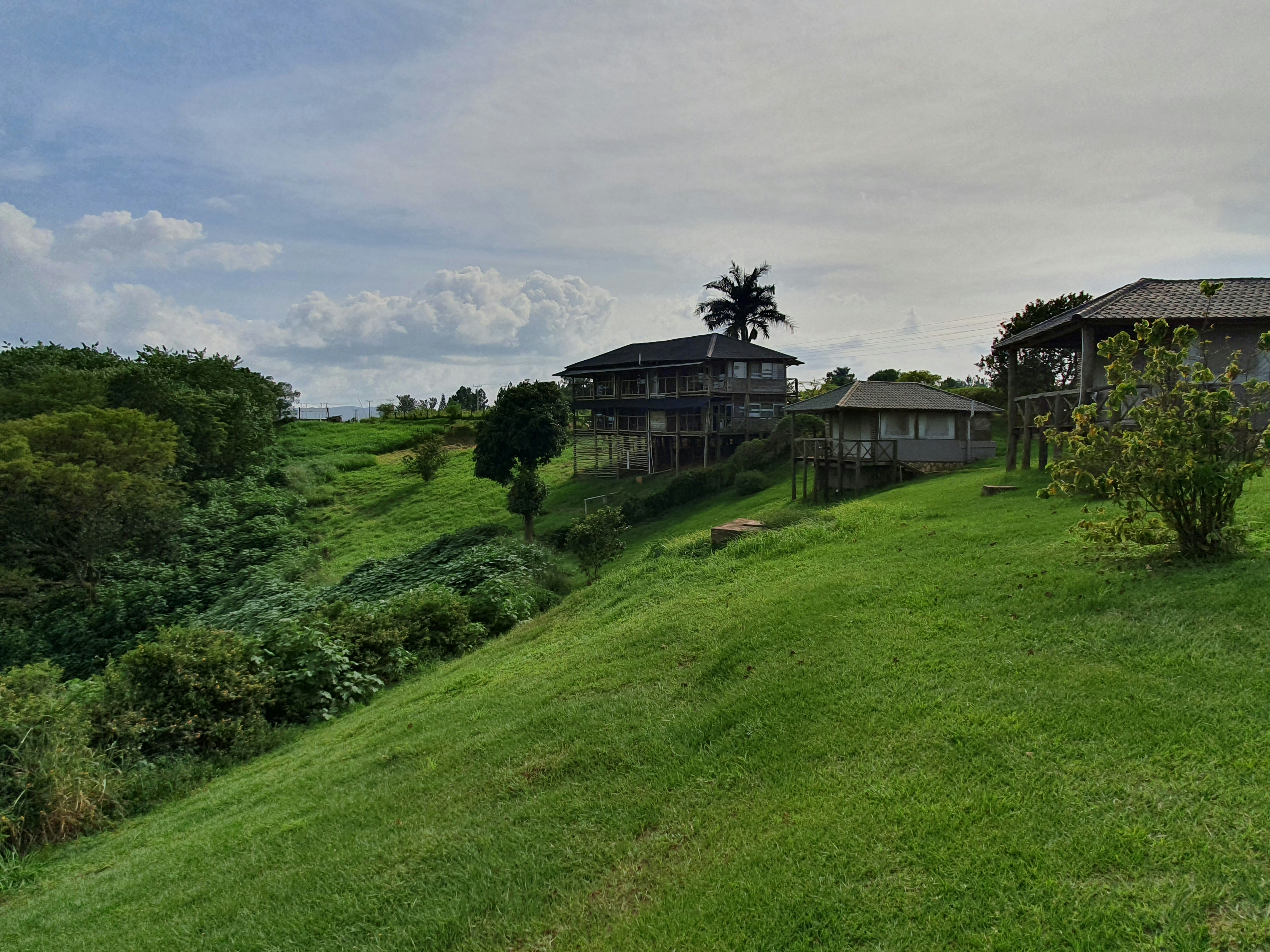 A scenic view of a green hillside with two wooden buildings, one large and one small, surrounded by lush vegetation under a cloudy sky.